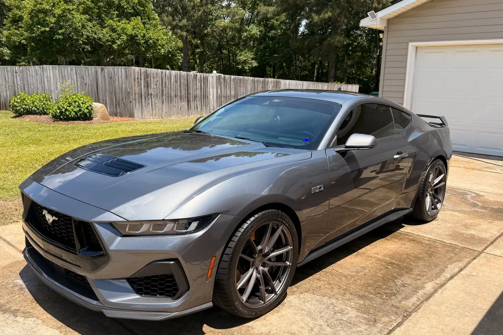 Mustang GT paint after correction, mirror finish